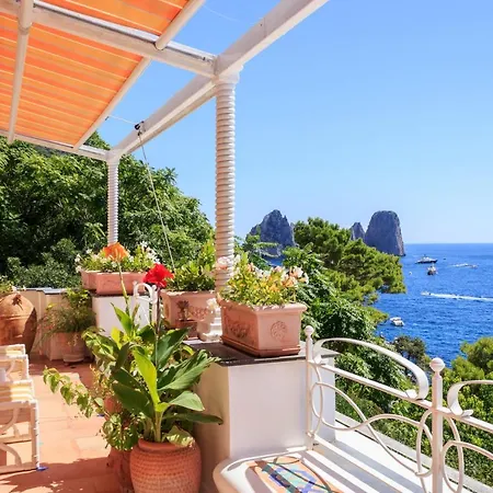 Teste Di Moro Capri